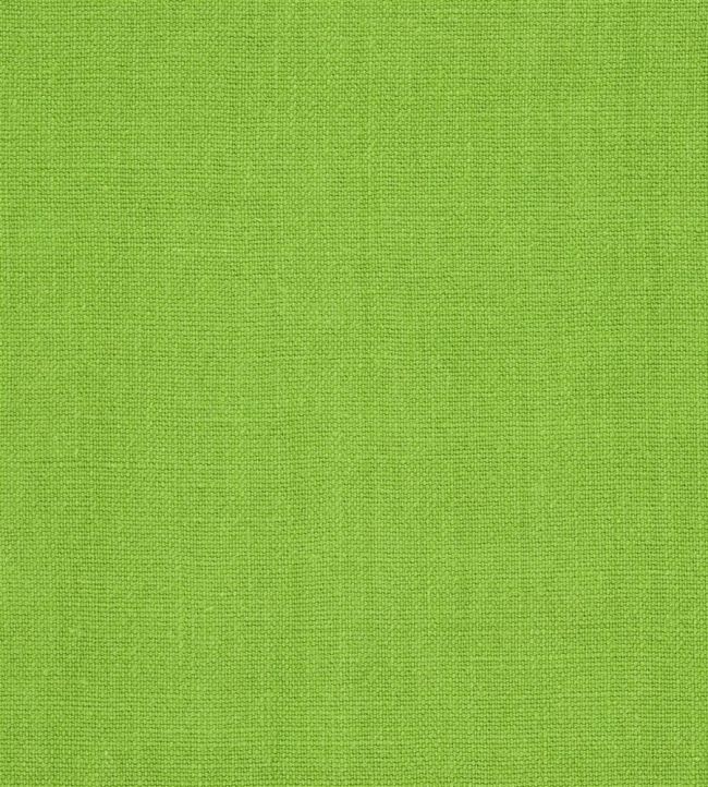 Brera Lino Fabric by Designers Guild Grass
