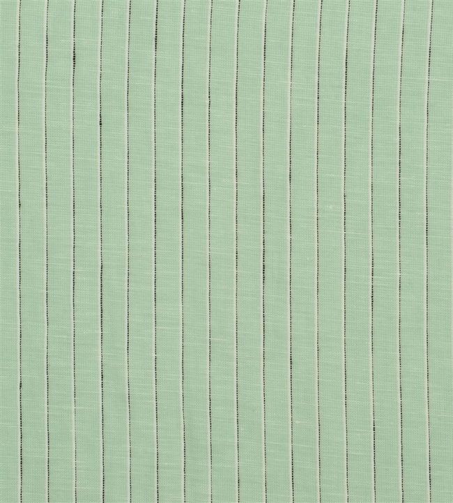 Ravoire Fabric by Designers Guild Eau De Nil