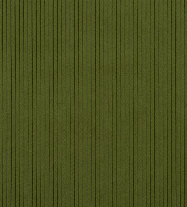 Corda Fabric by Designers Guild Forest