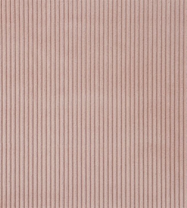 Corda Fabric by Designers Guild Cameo