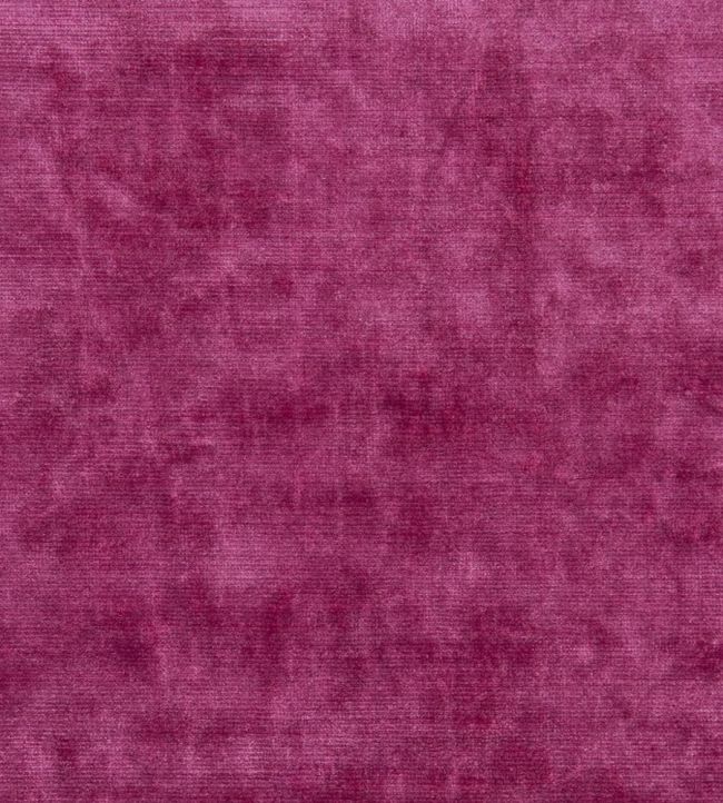 Glenville Fabric by Designers Guild Camellia