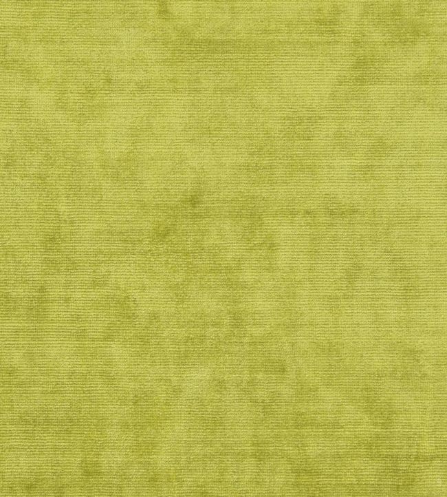 Glenville Fabric by Designers Guild Acacia