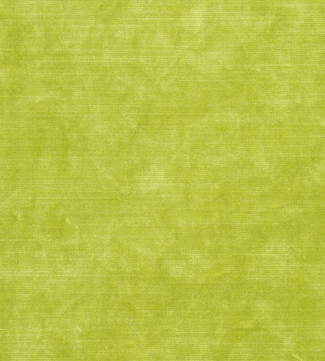 Glenville Fabric by Designers Guild Lime