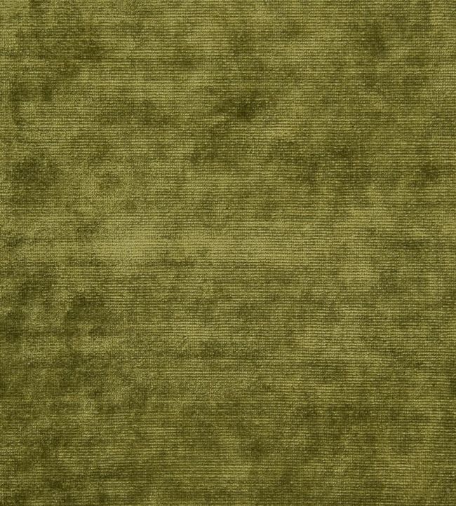 Glenville Fabric by Designers Guild Forest