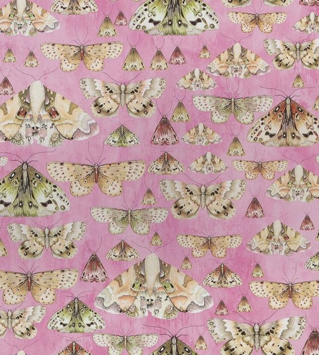 Issoria Wallpaper by Designers Guild Rose