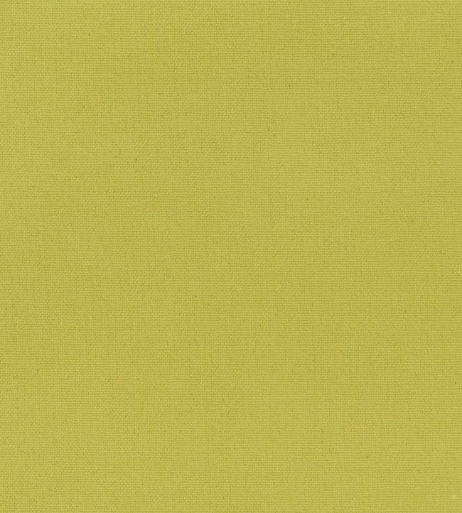 Madrid Fabric by Designers Guild Lime