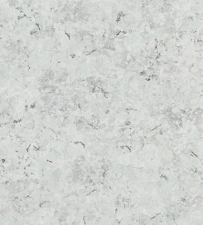Lustro Wallpaper by Designers Guild Zinc
