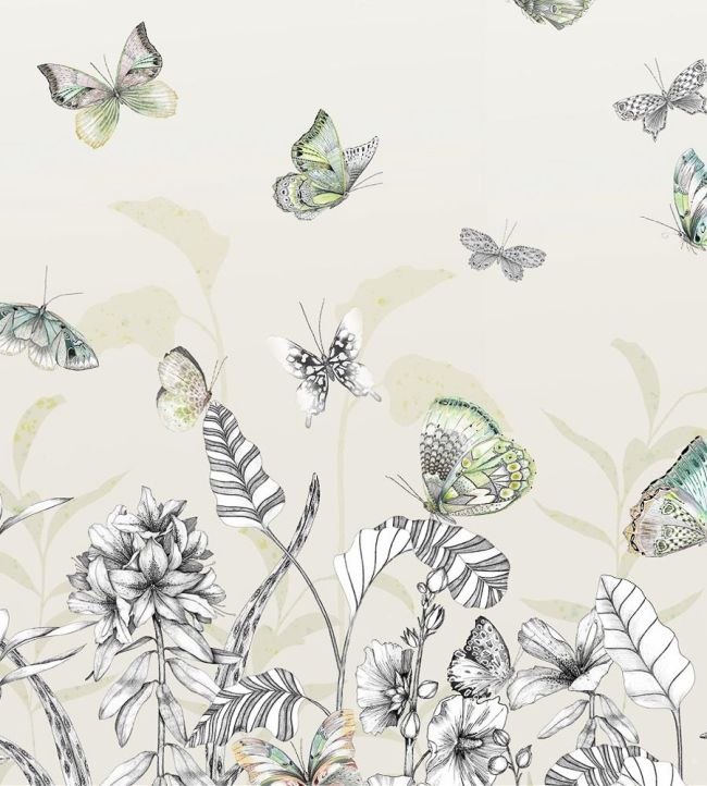 Papillons Mural by Designers Guild Birch