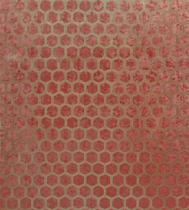 Manipur Fabric by Designers Guild Coral