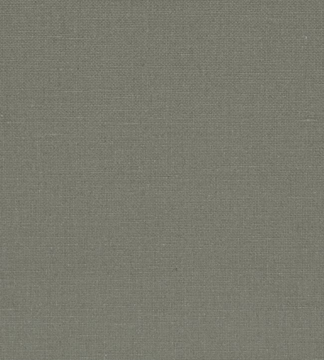 Manzoni Fabric by Designers Guild Zinc