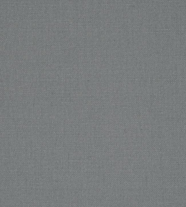 Manzoni Fabric by Designers Guild Charcoal