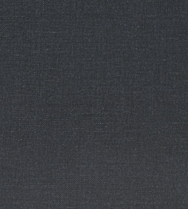 Manzoni Fabric by Designers Guild Onyx