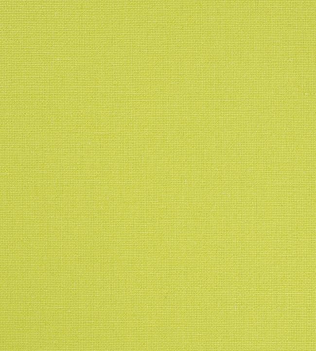 Manzoni Fabric by Designers Guild Pistachio