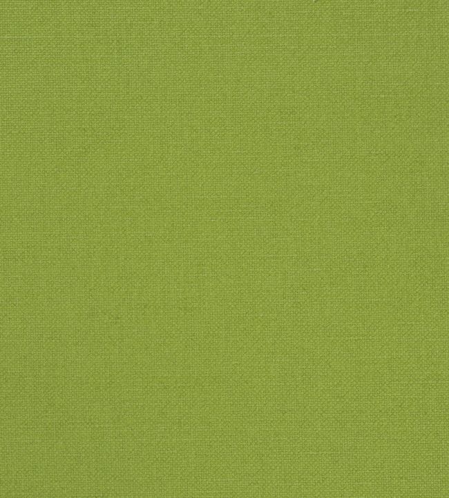 Manzoni Fabric by Designers Guild Grass