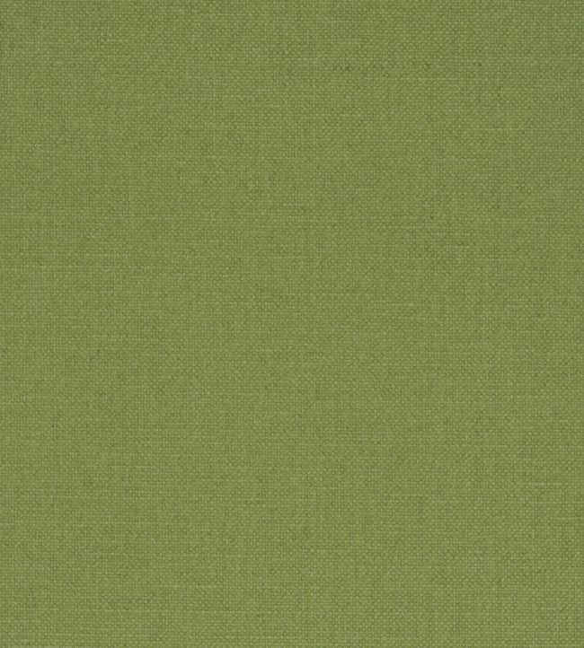 Manzoni Fabric by Designers Guild Forest