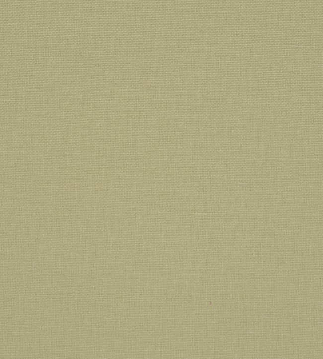 Manzoni Fabric by Designers Guild Seagrass