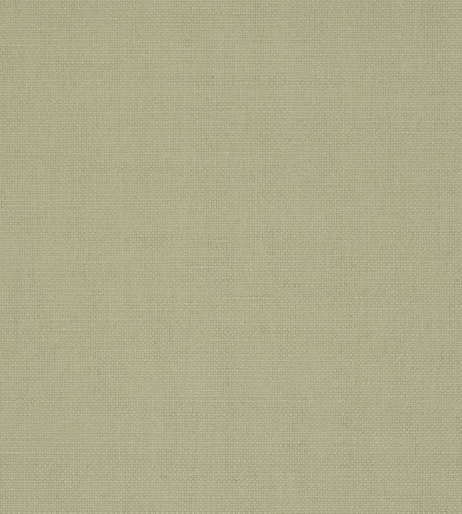 Manzoni Fabric by Designers Guild Flax