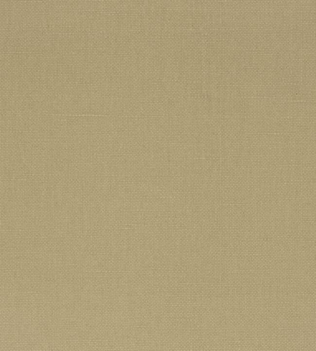 Manzoni Fabric by Designers Guild Driftwood