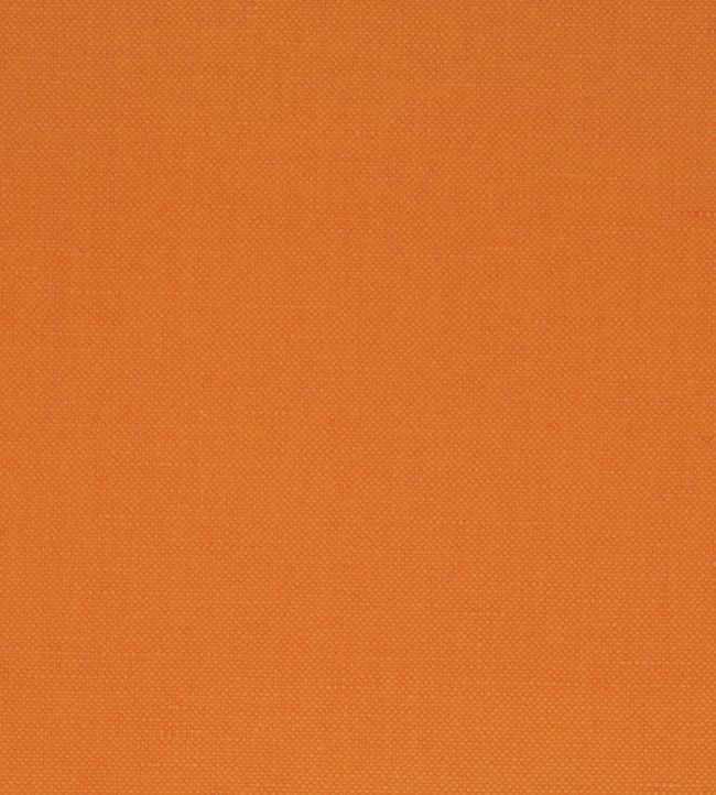 Manzoni Fabric by Designers Guild Saffron