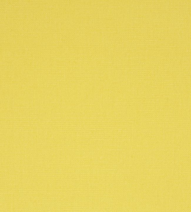 Manzoni Fabric by Designers Guild Straw