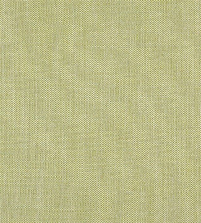 Skye Fabric by Designers Guild Pale Moss
