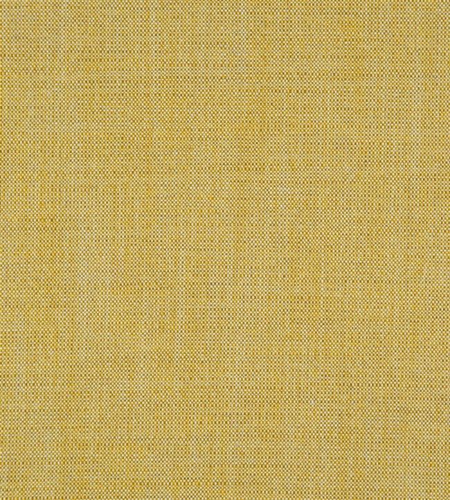 Skye Fabric by Designers Guild Ochre