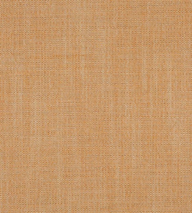 Skye Fabric by Designers Guild Zinnia