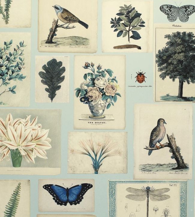 Flora And Fauna Wallpaper by Designers Guild Cloud Blue