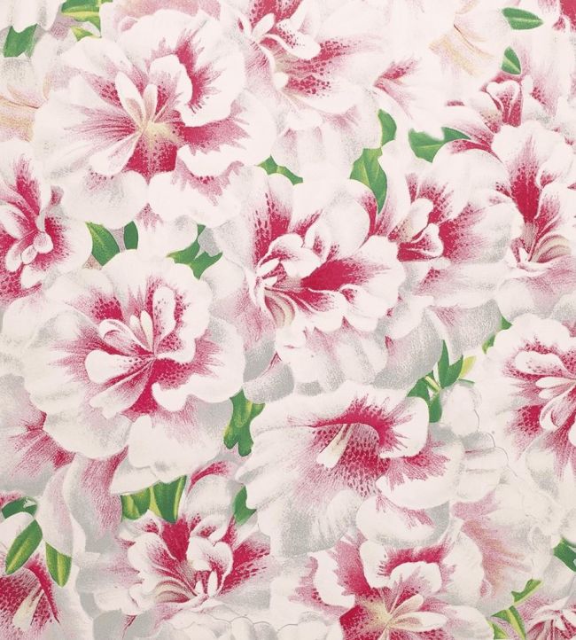 Variegated Azalea Wallpaper by Designers Guild Azalea