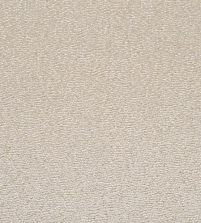 Sesia Fabric by Designers Guild Oyster