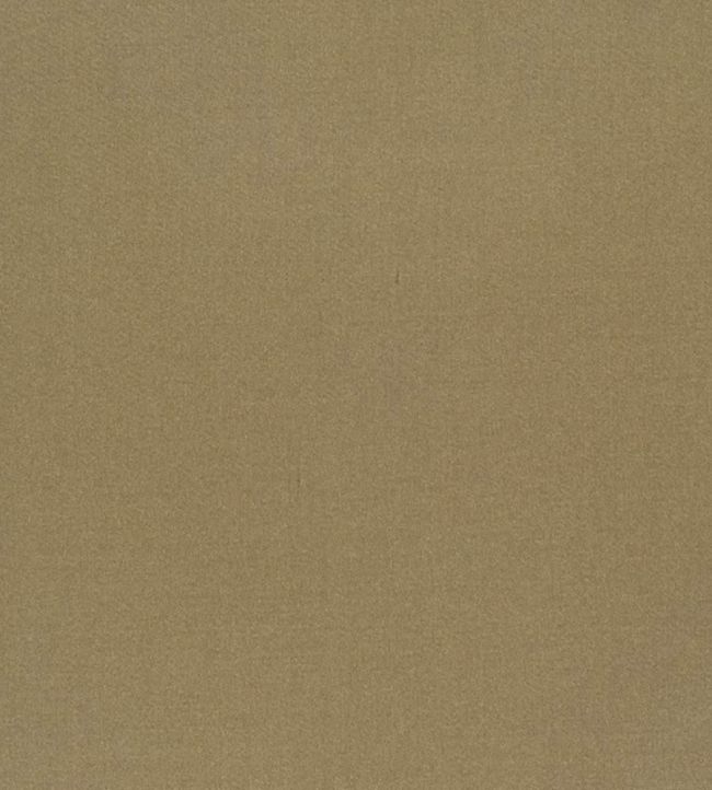 Tiber Fabric by Designers Guild Reed