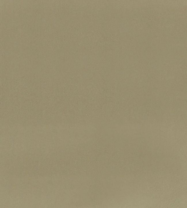 Tiber Fabric by Designers Guild Pale Gold