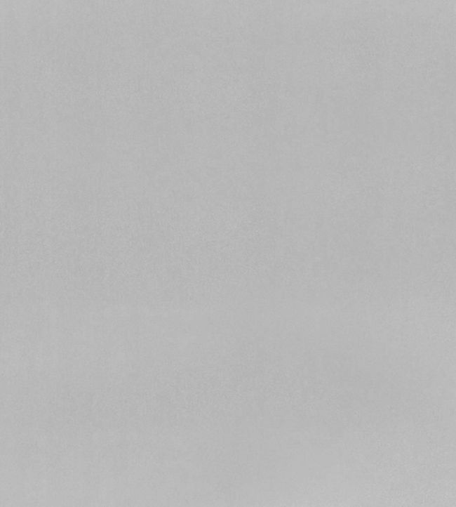 Tiber Fabric by Designers Guild Zinc