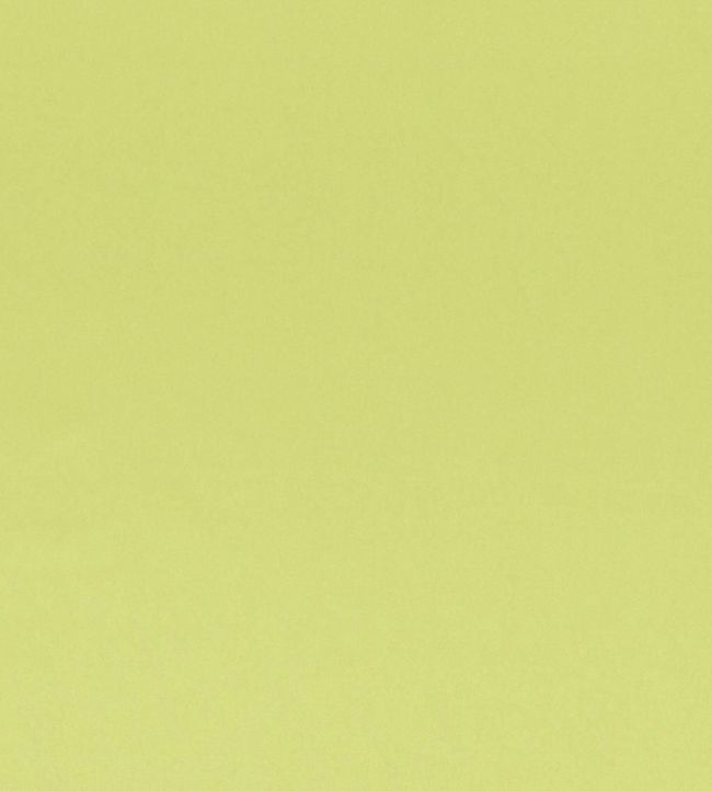 Tiber Fabric by Designers Guild Lime