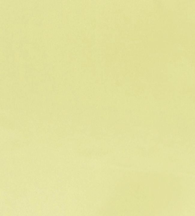 Tiber Fabric by Designers Guild Alchemilla