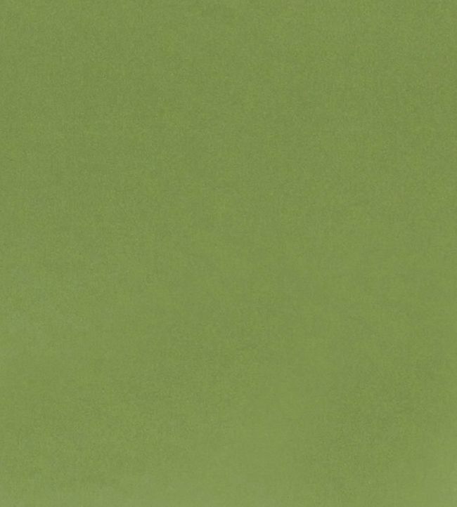 Tiber Fabric by Designers Guild Forest
