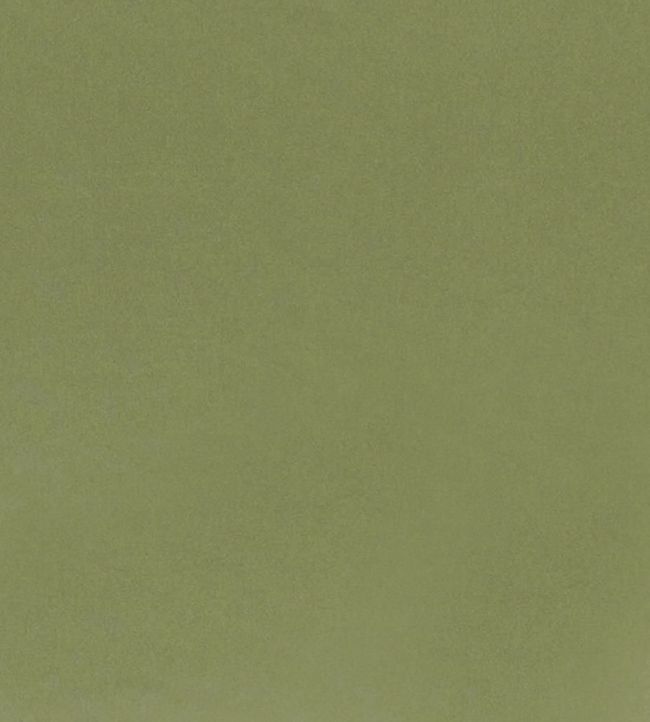 Tiber Fabric by Designers Guild Elm