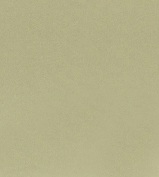 Tiber Fabric by Designers Guild Cumin