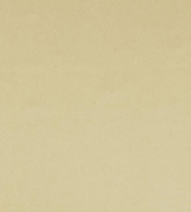 Tiber Fabric by Designers Guild Honey