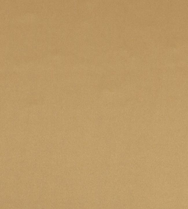 Tiber Fabric by Designers Guild Cinnamon