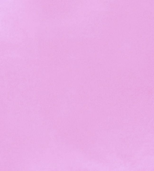 Tiber Fabric by Designers Guild Orchid