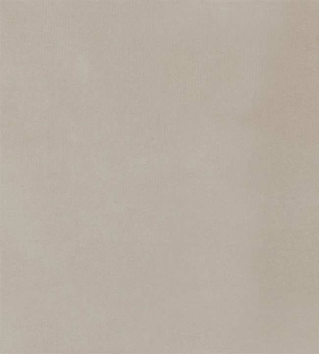 Velluto Fabric by Designers Guild Natural