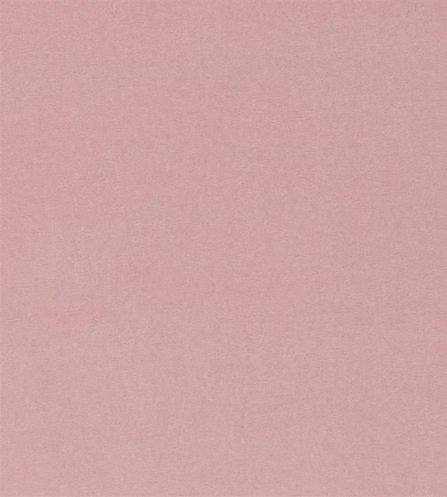 Velluto Fabric by Designers Guild Pale Rose
