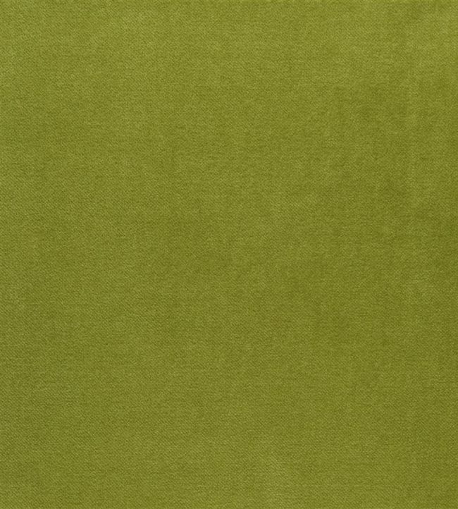 Velluto Fabric by Designers Guild Leaf