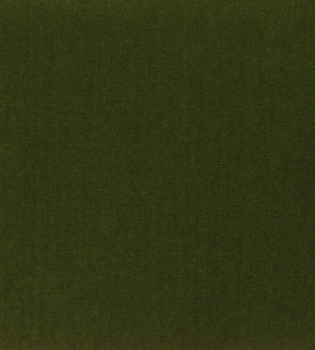 Velluto Fabric by Designers Guild Moss