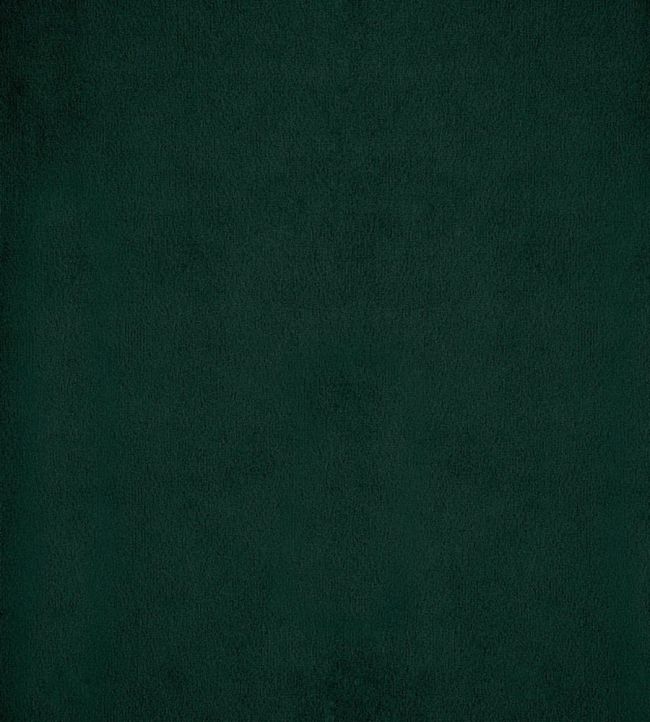 Velluto Fabric by Designers Guild Fir