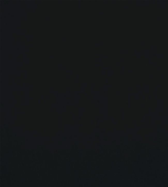 Velluto Fabric by Designers Guild Noir