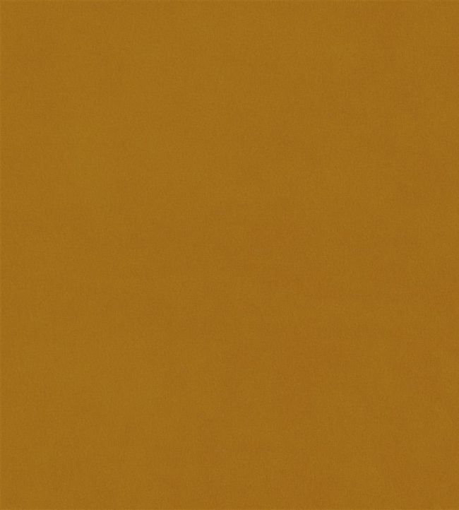 Velluto Stretto Fabric by Designers Guild Ochre