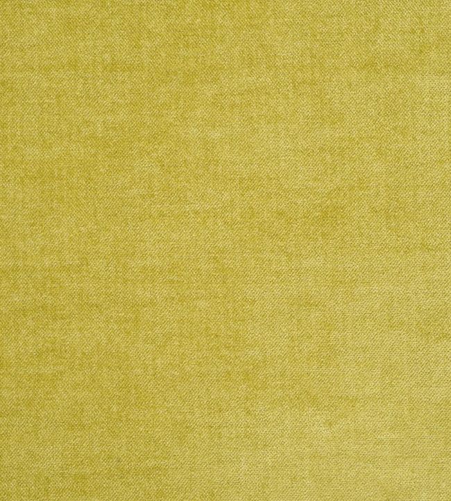 Zaragoza Fabric by Designers Guild Acacia