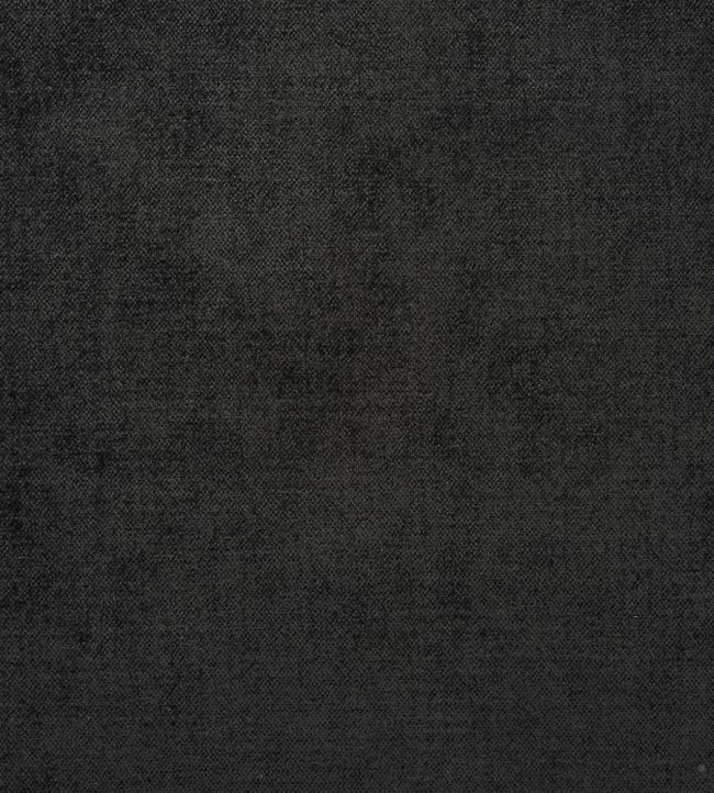 Zaragoza Fabric by Designers Guild Noir